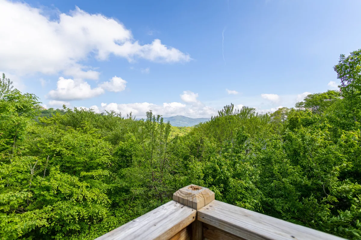 This scenic view shows lush green treetops, distant mountains, and a clear blue sky. The perspective suggests a tranquil vantage point from the property, perfect for hiking, wildlife watching, and soaking in the natural landscape.