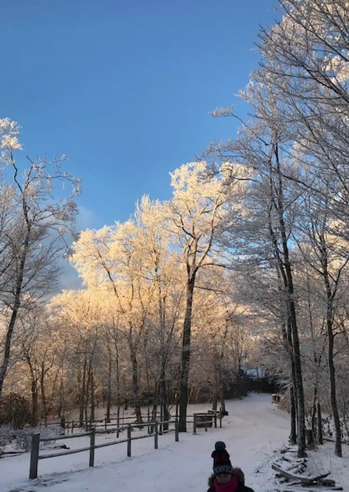 The image features frost-covered trees lining a snow-covered path under a clear blue sky. The pristine landscape evokes a sense of tranquility and highlights the allure of winter exploration in the area.